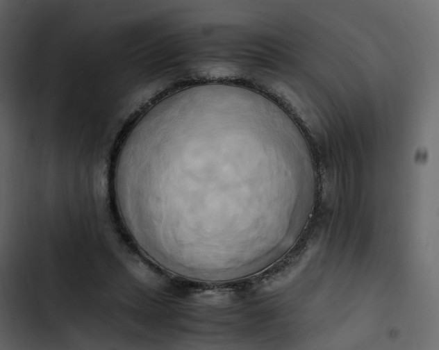 X0000102860447200809021428