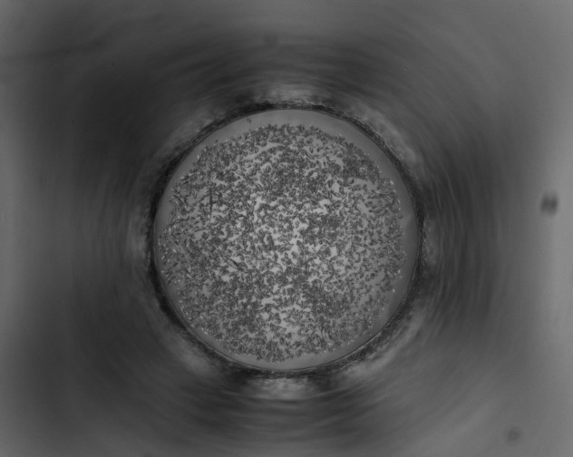 X0000102860449200809021428