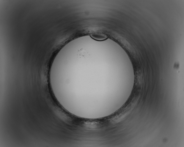 X0000102860450200809021428