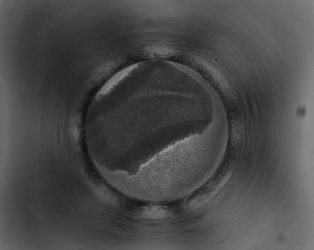 X0000102860451200809021428