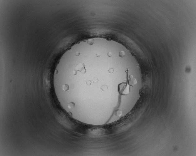 X0000102860452200809021428