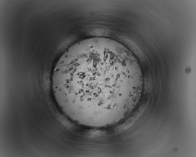 X0000102860453200809021428