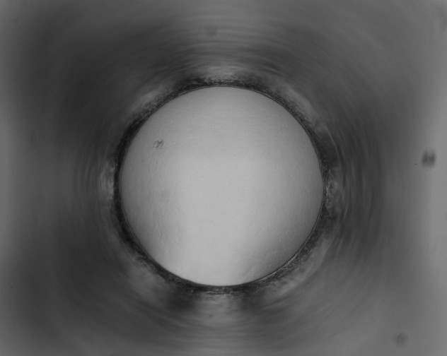 X0000102860454200809021428