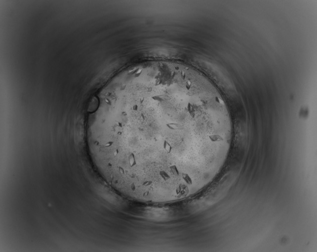 X0000102860457200809021428