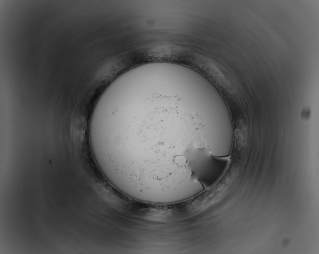 X0000102860458200809021428