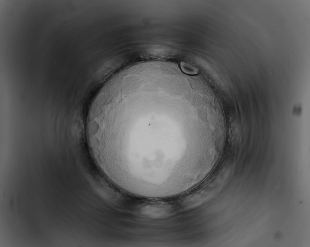 X0000102860459200809021428