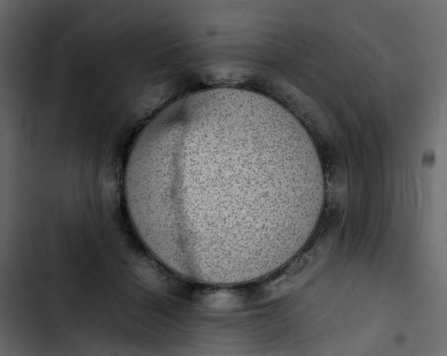 X0000102860460200809021428