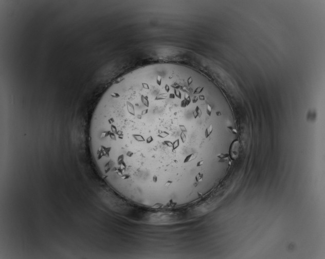 X0000102860461200809021428