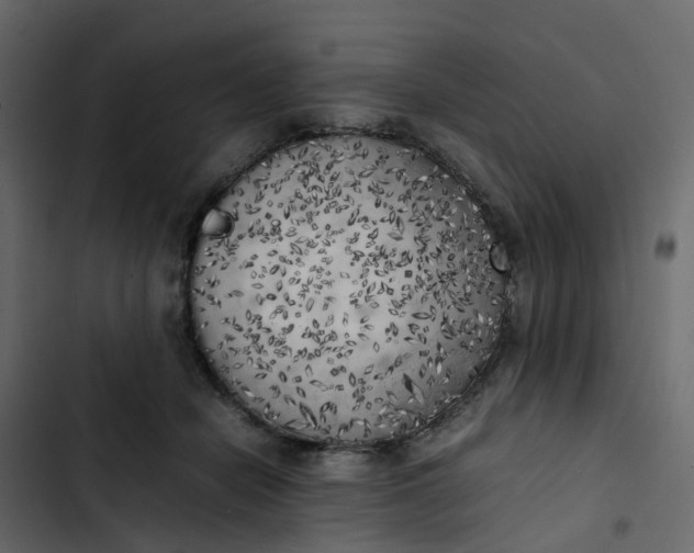 X0000102860462200809021428