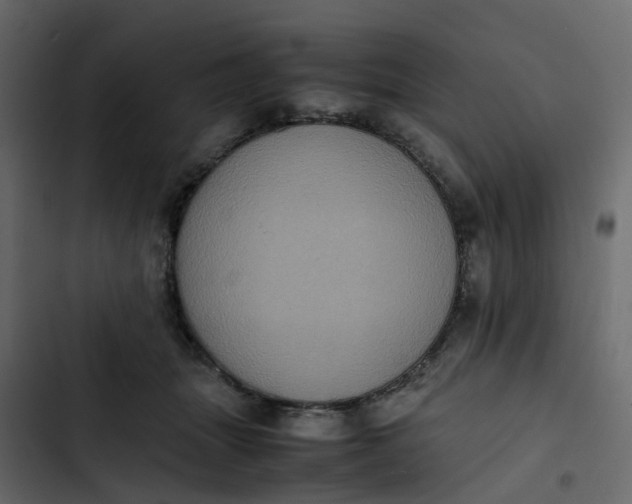 X0000102860463200809021428