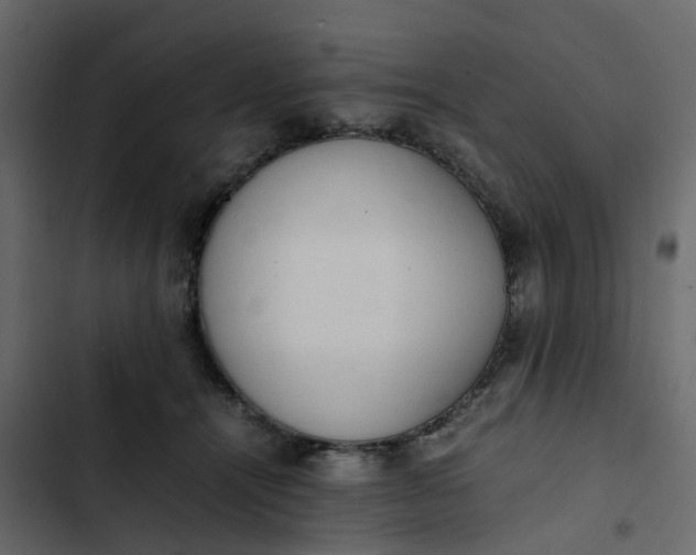 X0000102860464200809021428