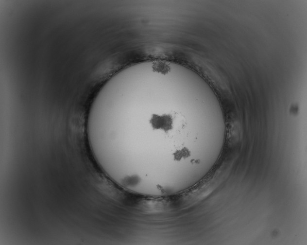 X0000102860466200809021428