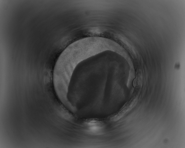 X0000102860467200809021428