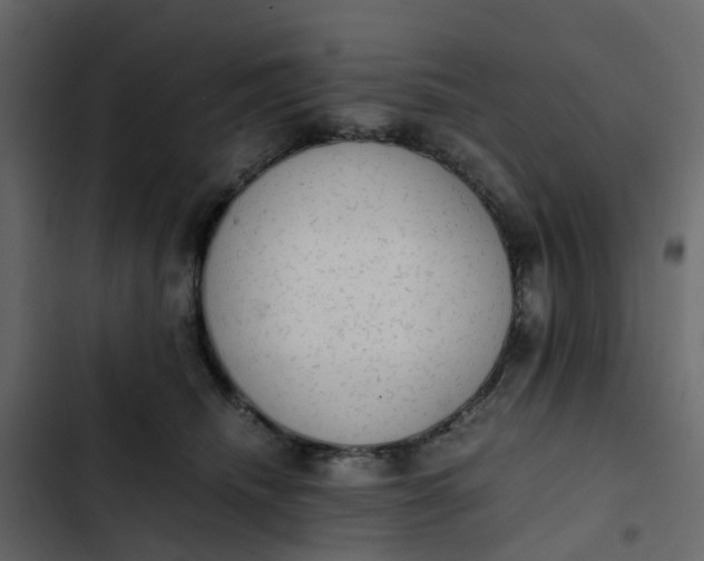 X0000102860468200809021428