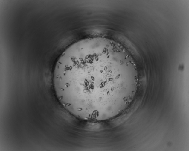 X0000102860469200809021428