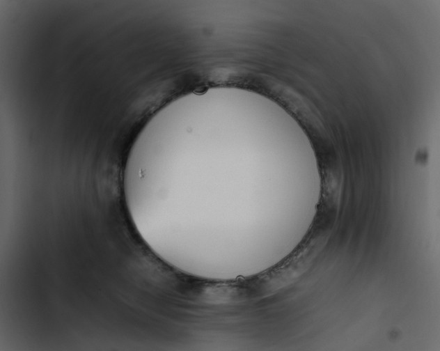 X0000102860470200809021428