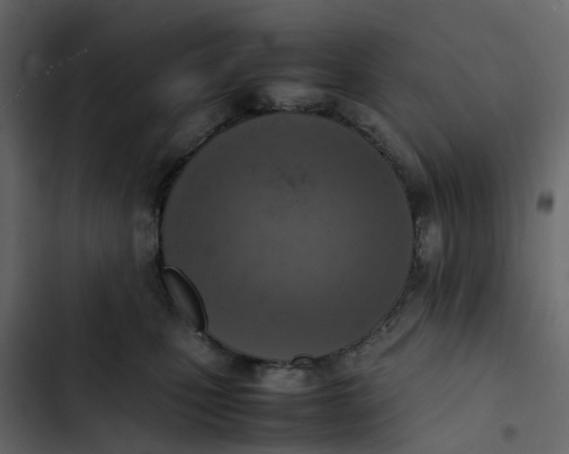 X0000102860471200809021428