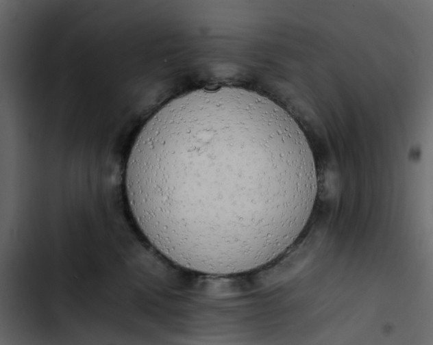 X0000102860472200809021428