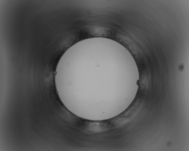 X0000102860473200809021428