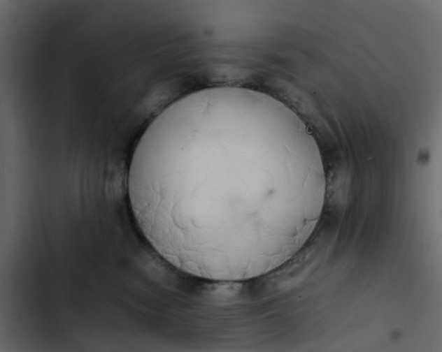 X0000102860474200809021428