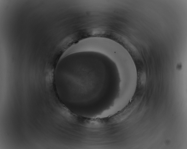 X0000102860475200809021428