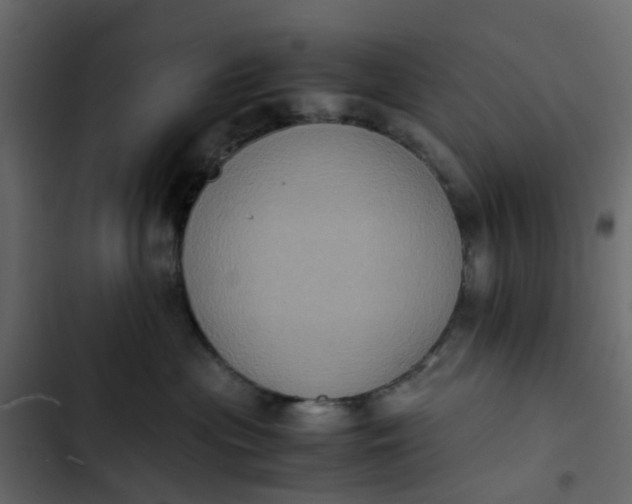 X0000102860477200809021428