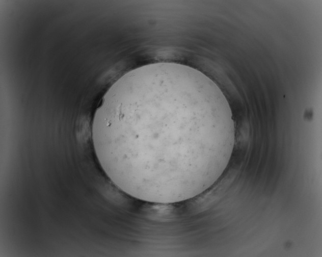 X0000102860478200809021428