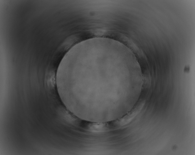 X0000102860479200809021428