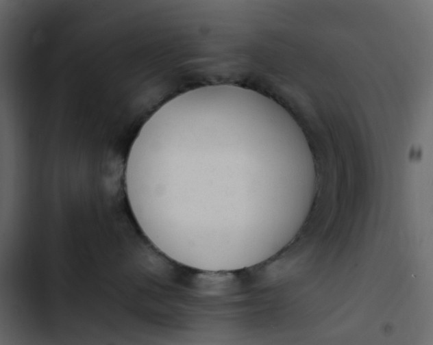 X0000102860480200809021428