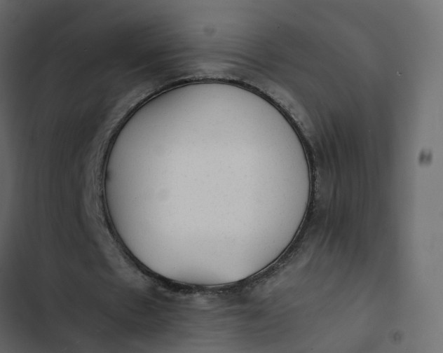 X0000102860481200809021428