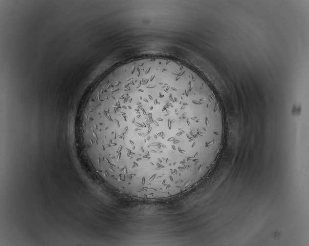 X0000102860482200809021428