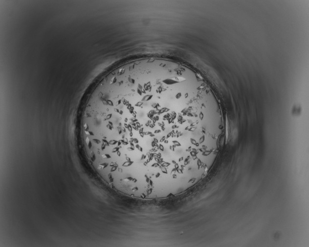 X0000102860483200809021428