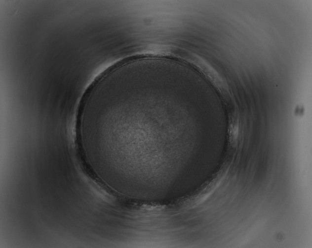 X0000102860484200809021428