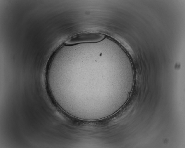 X0000102860485200809021428