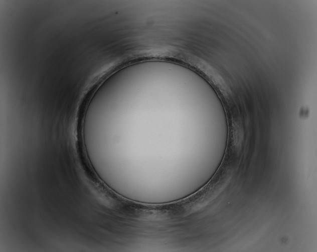 X0000102860486200809021428