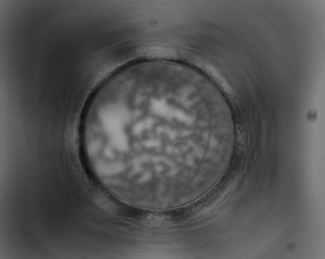 X0000102860487200809021428