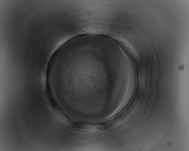 X0000102860488200809021428