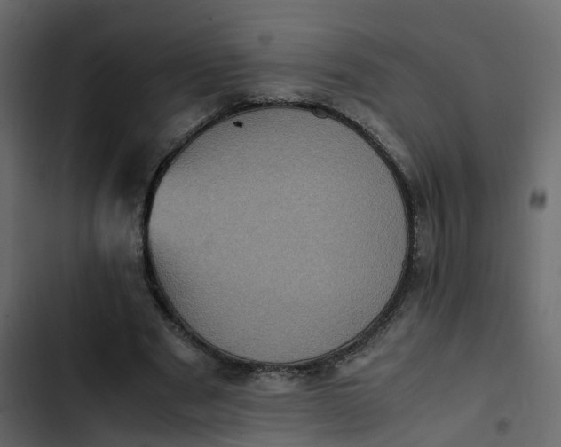 X0000102860489200809021428