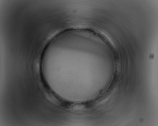 X0000102860491200809021428