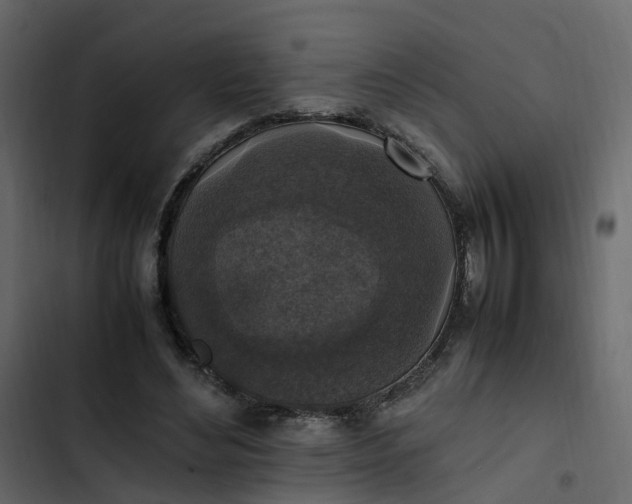 X0000102860492200809021428