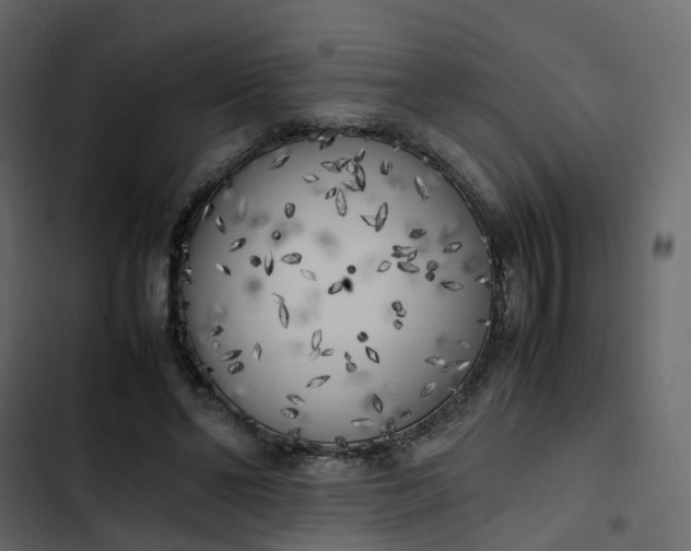 X0000102860494200809021427