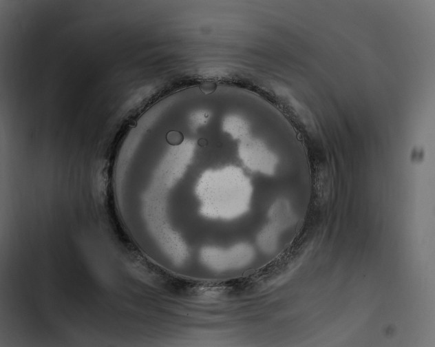 X0000102860495200809021427