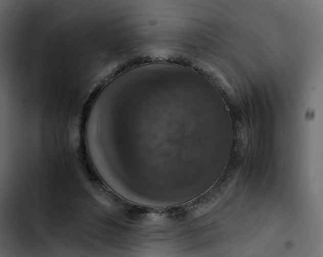 X0000102860496200809021427