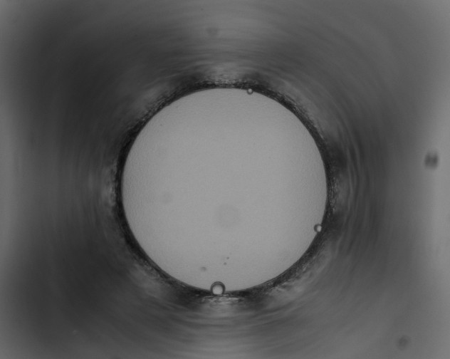 X0000102860497200809021427