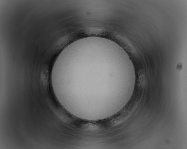 X0000102860498200809021427