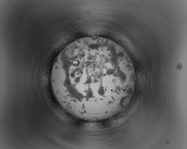 X0000102860499200809021427