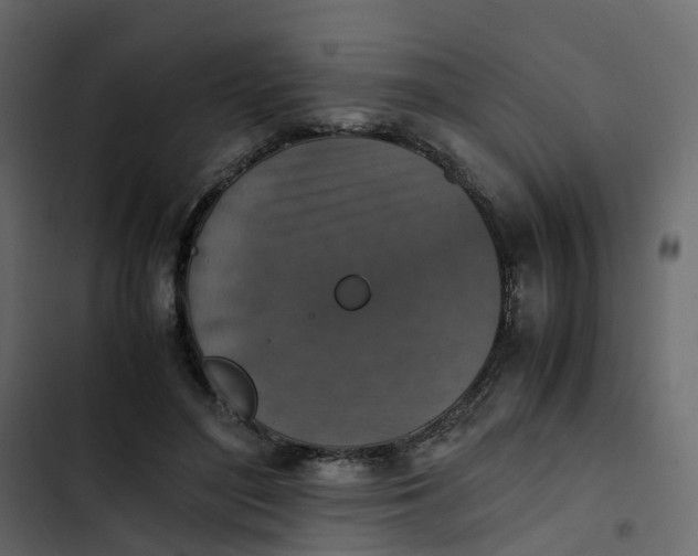 X0000102860500200809021427