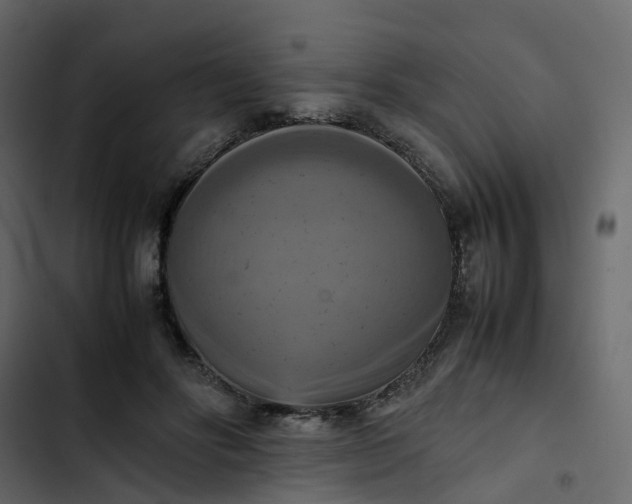 X0000102860502200809021427