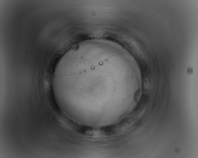 X0000102860503200809021427