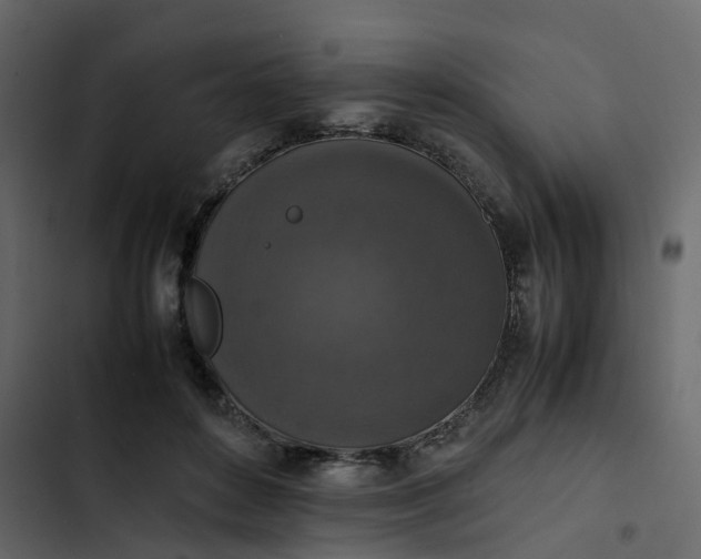 X0000102860504200809021427